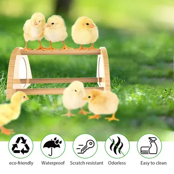 Мини-пиле с огледало Здрава насестная планк за сътрудничество и брудершафта За обучение на пилета, Лесни за почистване Забавни играчки за пилета